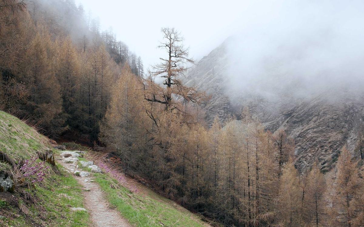 ترميم مسجد يخدم 600 مصلٍّ في سيدني